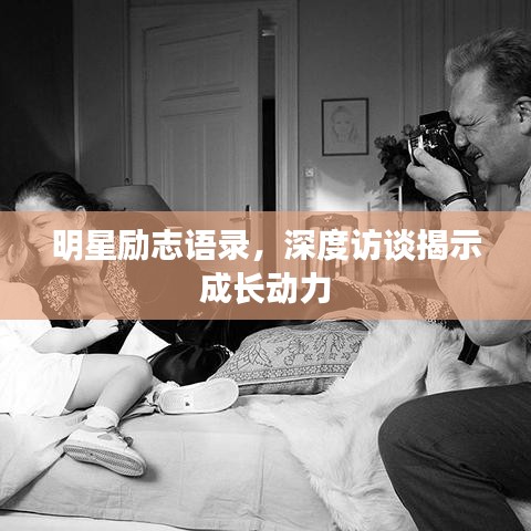 明星励志语录,深度访谈揭示成长动力