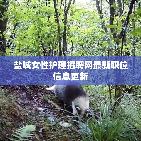 盐城女性护理招聘网最新职位信息更新