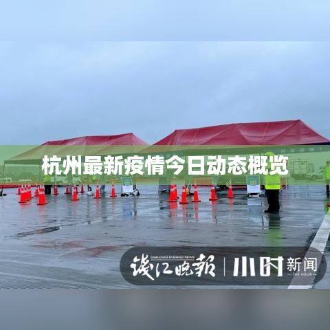 杭州最新疫情今日动态概览