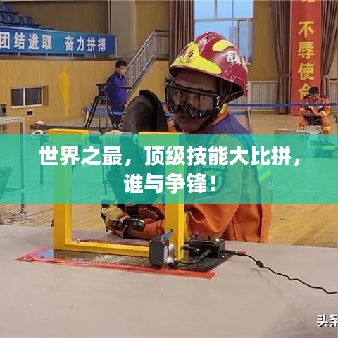 世界之最,顶级技能大比拼,谁与争锋!