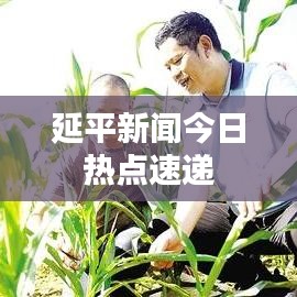 延平新闻今日热点速递