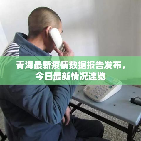 青海最新疫情数据报告发布,今日最新情况速览