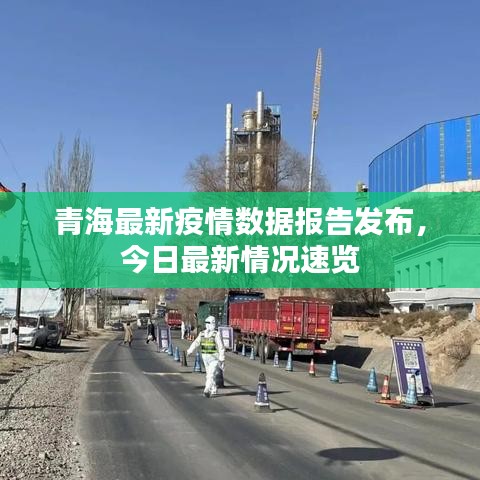 青海最新疫情数据报告发布,今日最新情况速览