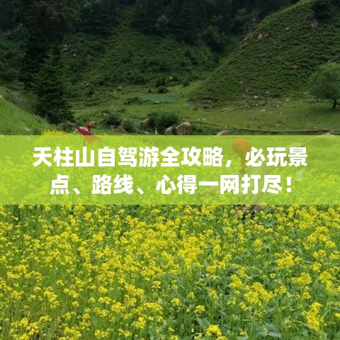 天柱山自驾游全攻略,必玩景点、路线、心得一网打尽!