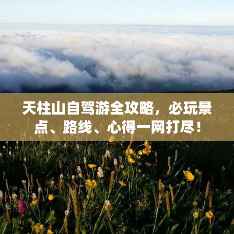 天柱山自驾游全攻略,必玩景点、路线、心得一网打尽!