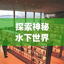 探索神秘水下世界,鱼儿独家推荐之旅