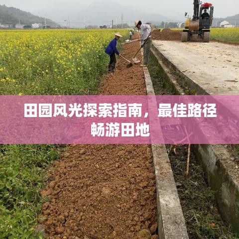 田园风光探索指南,最佳路径畅游田地