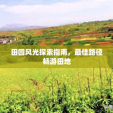 田园风光探索指南,最佳路径畅游田地