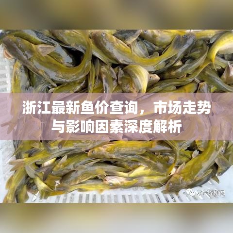 东张西望 第3页