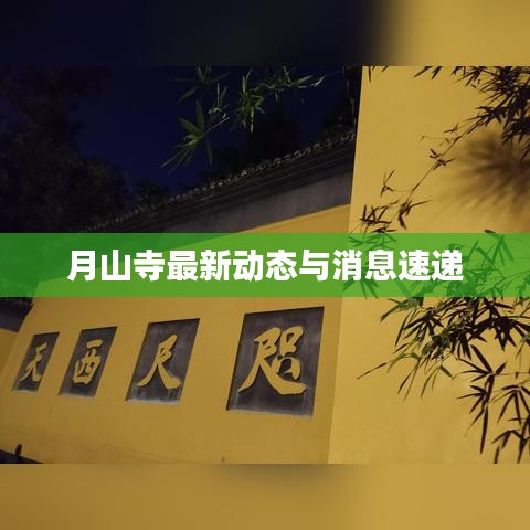 月山寺最新动态与消息速递