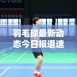 羽毛球最新动态今日报道速递