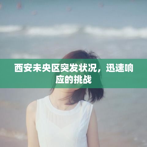 西安未央区突发状况,迅速响应的挑战