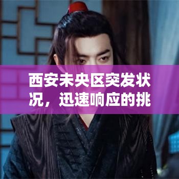 西安未央区突发状况,迅速响应的挑战