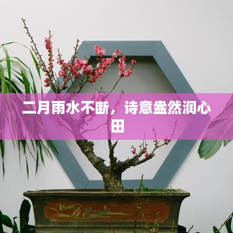 二月雨水不断，诗意盎然润心田
