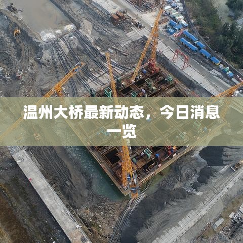 温州大桥最新动态,今日消息一览