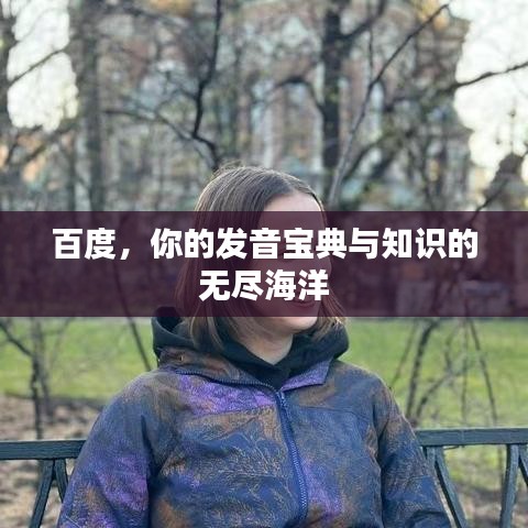百度,你的发音宝典与知识的无尽海洋