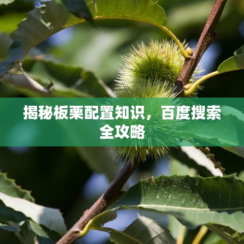 揭秘板栗配置知识，百度搜索全攻略