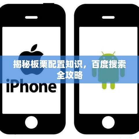 揭秘板栗配置知识,百度搜索全攻略