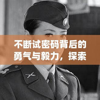 不断试密码背后的勇气与毅力,探索未知的冒险精神