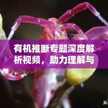 有机推断专题深度解析视频,助力理解与应用能力提升
