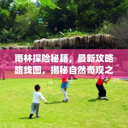 雨林探险秘籍,最新攻略路线图,揭秘自然奇观之旅