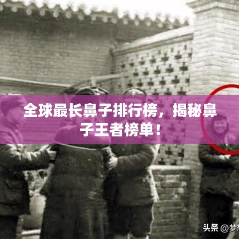 全球最长鼻子排行榜,揭秘鼻子王者榜单!