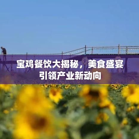 宝鸡餐饮大揭秘,美食盛宴引领产业新动向