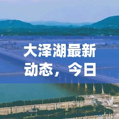 大泽湖最新动态，今日揭秘最新消息！