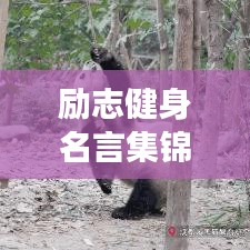 一往无前 第3页