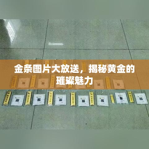 金条图片大放送,揭秘黄金的璀璨魅力