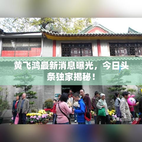 黄飞鸿最新消息曝光，今日头条独家揭秘！