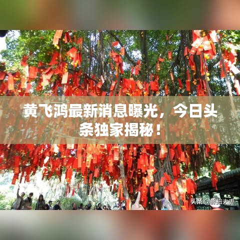 黄飞鸿最新消息曝光,今日头条独家揭秘!