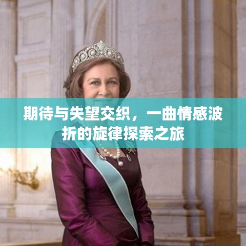 期待与失望交织,一曲情感波折的旋律探索之旅