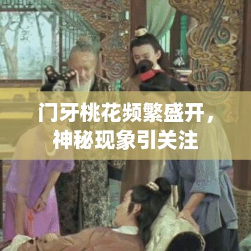 门牙桃花频繁盛开,神秘现象引关注