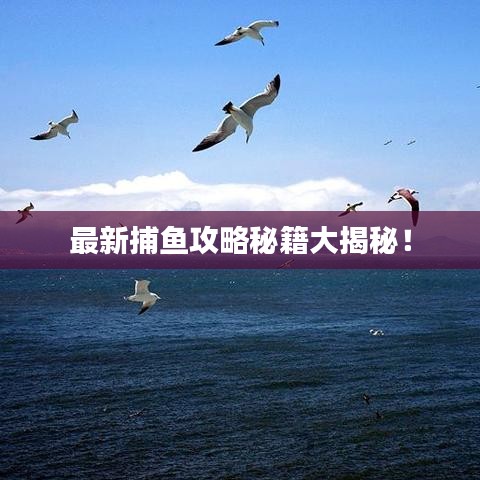 最新捕鱼攻略秘籍大揭秘！