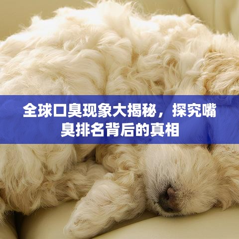 全球口臭现象大揭秘,探究嘴臭排名背后的真相