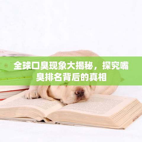 全球口臭现象大揭秘,探究嘴臭排名背后的真相