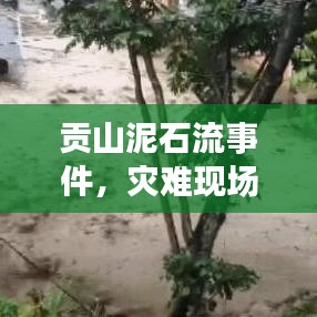 贡山泥石流事件,灾难现场直击纪实