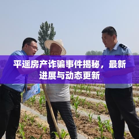 平遥房产诈骗事件揭秘，最新进展与动态更新