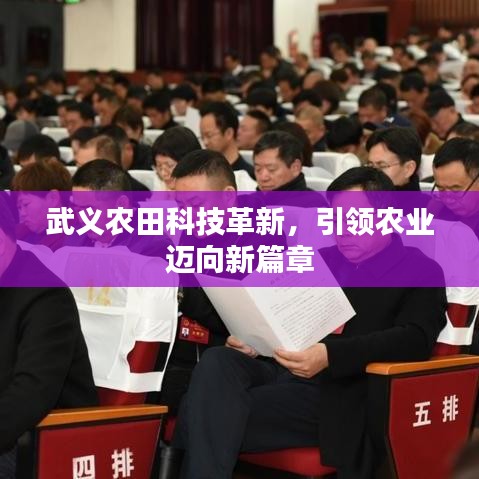 武义农田科技革新,引领农业迈向新篇章