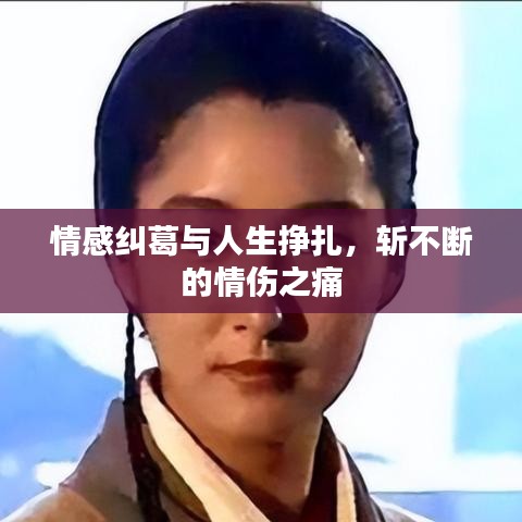 情感纠葛与人生挣扎,斩不断的情伤之痛