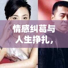 情感纠葛与人生挣扎,斩不断的情伤之痛