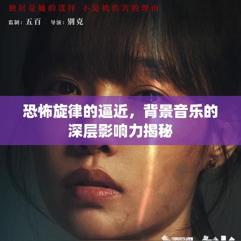 联系我们 第79页