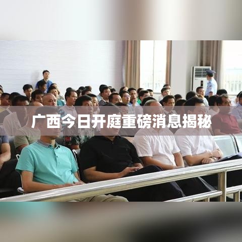 广西今日开庭重磅消息揭秘