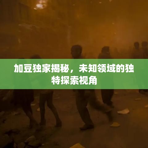 加豆独家揭秘,未知领域的独特探索视角