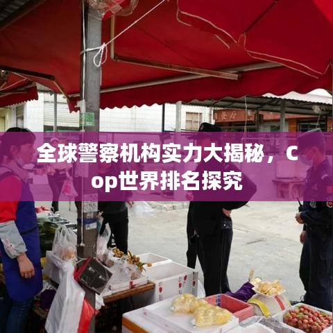 全球警察机构实力大揭秘,Cop世界排名探究
