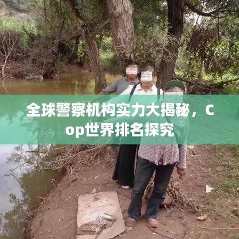 全球警察机构实力大揭秘,Cop世界排名探究