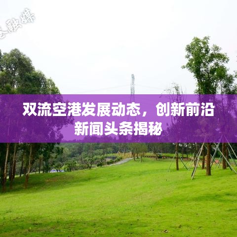 双流空港发展动态,创新前沿新闻头条揭秘