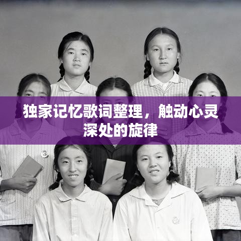 独家记忆歌词整理,触动心灵深处的旋律