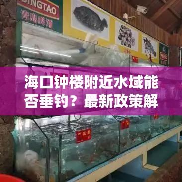 海口钟楼附近水域能否垂钓?最新政策解读与消息透露